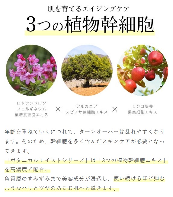3つの植物幹細胞(シリーズ)